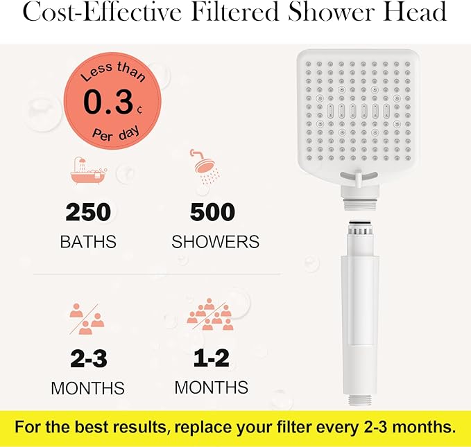 Homlord Filtered Shower Head with Handheld White - High Pressure 6 Modes, 120 Anti-clog Nozzles, Detachable Showerhead with Hard Water Filters, Extra Long 6ft Hose, Power Wash Mode for Bathroom, Pets