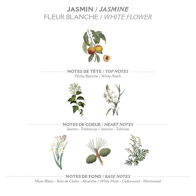 Panier des Sens – White Jasmine Hand Cream – Moisturizing Hand Lotion for Dry Skin – Premium French Hand Cream, Softening Care for Women, 97% Natural Ingredients, 2.5 Fl Oz
