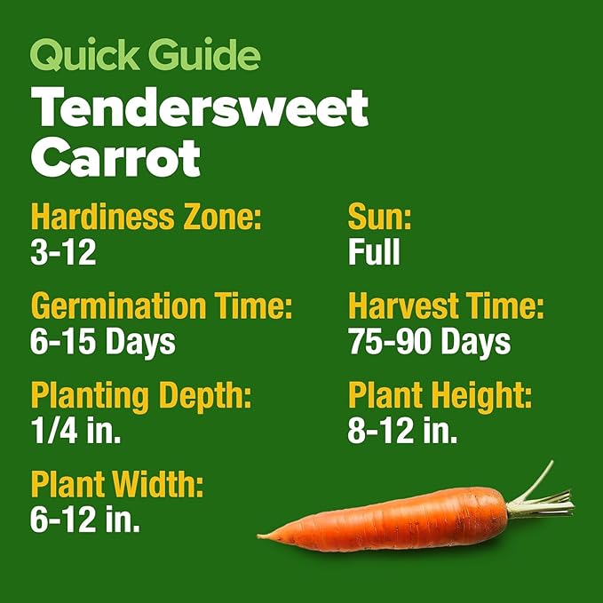 HOME GROWN Tendersweet Carrots Seeds 3000+ Heirloom Non-GMO Seeds for Planting,High Germination,Sweetest Coreless Root Vegetable, Crunchy Summer Garden,Great for Canning (Daucus carota subsp. sativus)