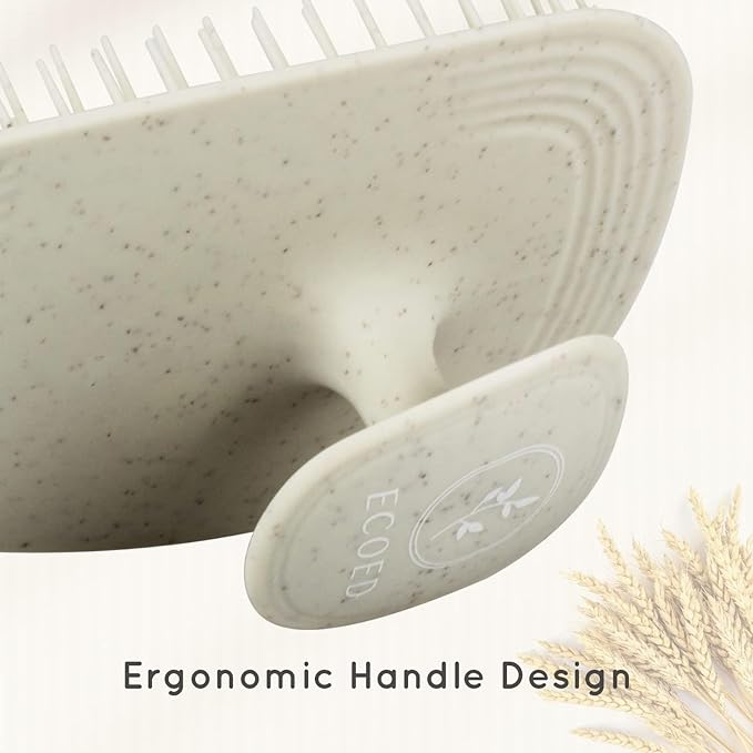 Ecoed 2 PC Scalp Massager Shampoo Brush, Scalp Scrubber & Exfoliator for Dandruff Removal, Wet & Dry Hair and Detangler for Men and Women, Suitable for Short Medium Hair (Natural)