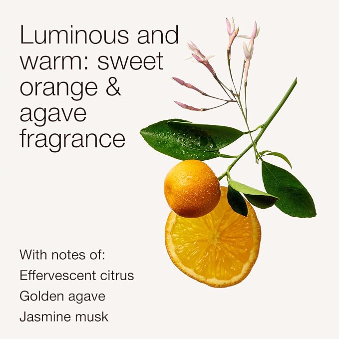 Bath & Body Works Single Wick Candle, Sweet Orange & Agave Candle, Long-Lasting Burn Up to 45 Hours, Exclusively Fragranced Soy Wax Blend, 8 oz - 1 Pack