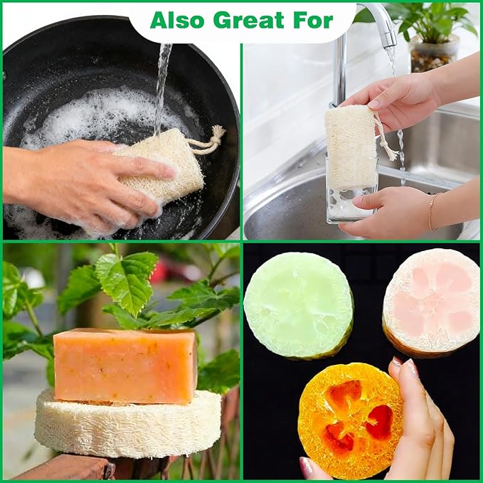 pisdoplop Natural Loofah Exfoliating Body Sponge Scrubber, 4 inch-Long Organic Loofa Luffa Plant-Based for Men & Women Skin Care Bath Shower Cleaning, Natural Sponges for Dishes
