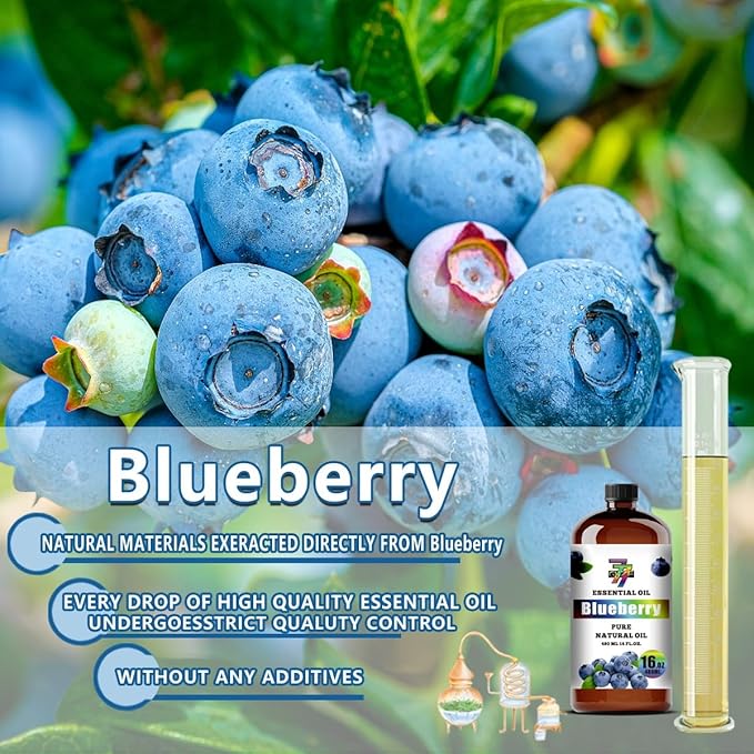 Blueberry Essential Oil - GV77ZF Blueberry Oils for Diffusers, Humidifiers, DIY Candles, Soap, Cleaning, Home, Office, Yoga, Massage, Gifts - 16 fl oz (480 ml)