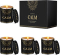 WarmEmbrace Scented Candles, 9 Oz Candle Sets for Home, Office, Meditation, Yoga, Candles for Women & Men, Birthday, Christmas, Valentine's Day Present, Lavender, Vanilla, Rose & Sandalwood, Lemon