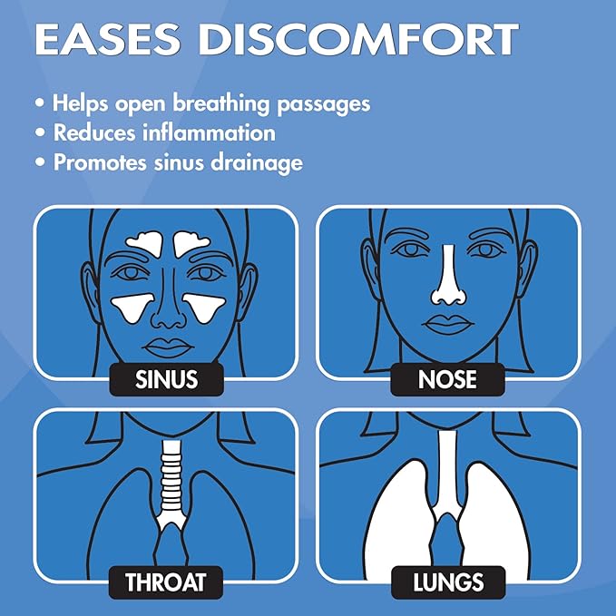 HealthWise Steam Inhaler Respiratory Vapor Therapy | Sinus Pressure, Congestion, Colds & Cough Relief | Facial Steamer, Steam Inhaler, FSA Eligible, Vaporizer or Vocal Steamer | Mask for Cleansing