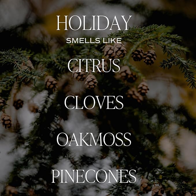 Sweet Water Decor Holiday Candle | Cloves, Pine, and Sandalwood Festive Christmas Scented Soy Candles for Home | 9oz Amber Jar, 40 Hour Burn Time, Made in The USA