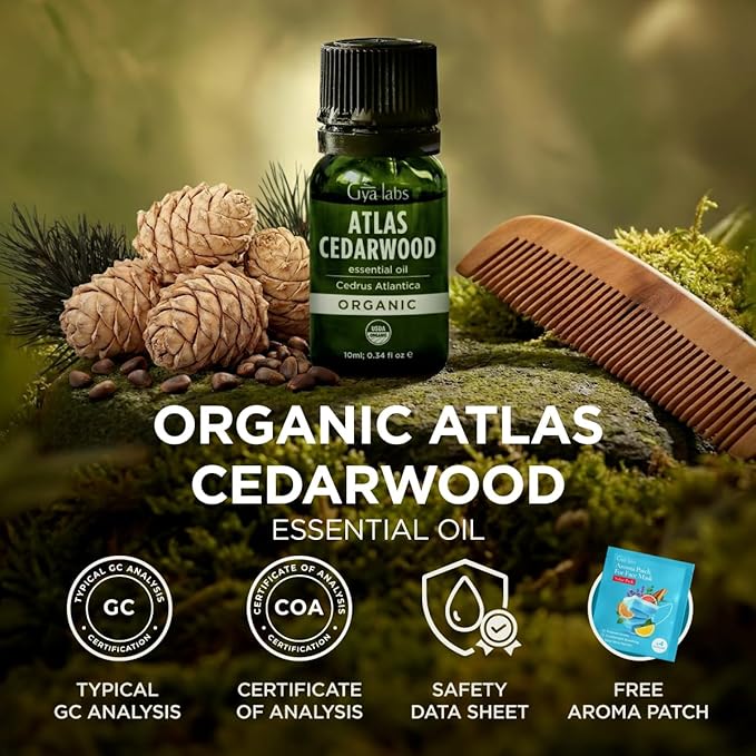 Gya Labs USDA Organic Cedarwood Essential Oil for Scalp, Hair - for Skin, Diffuser, Aromatherapy, Grounding Aroma for DIY Candle Making Scents - 0.34 Fl Oz