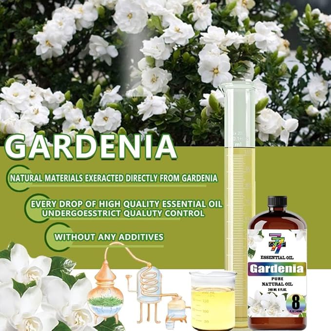 Gardenia Essential Oil - GV77ZF Gardenia Oils for Diffusers, Humidifiers, DIY Candles, Soap, Cleaning, Home, Office, Yoga, Massage, Gifts - 8 fl oz (240 ml)