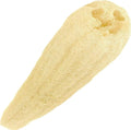 NileCart 22 Inch Egyptian Loofah Natural Luffa Sponges for Shower, Exfoliating Sponge Body Scrubber for Men Women, Natural Body Scrub Loofah, Egyptian Loofah Sponge Bath Scrubbies for Skin Care