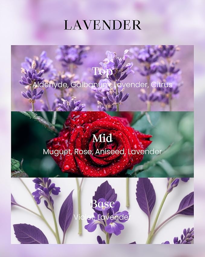 M&SENSE Vegan Soy Lavender Scented Candle, 8.1oz 42H Non-Toxic Long Burning, Calming Bathtub & Sleep Aromatherapy, Relaxing Perfect for Moms Womens