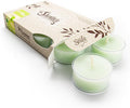 Shortie's Candle Company Cucumber Melon Premium Tealight Candles - 6 Green Highly Scented Tea Lights - Beautiful Candlelight - Made in the USA - Fresh & Clean Collection