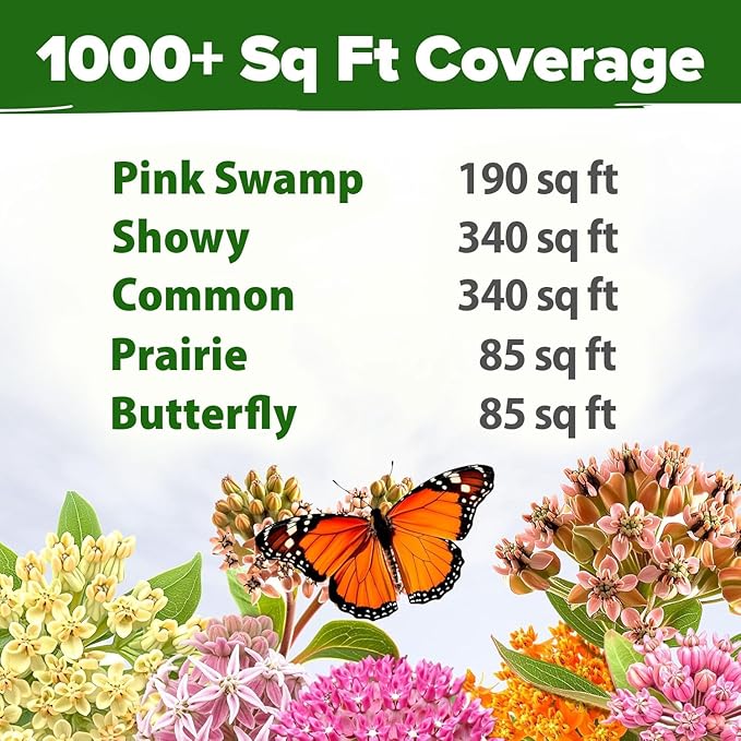 HOME GROWN Milkweed Flower Seeds - 500+ Heirloom Perennial Wildflower Seeds (5 Individual Varieties) Supports Monarch Habitat, Grows in Zones 3-11 (Asclepias syriaca)