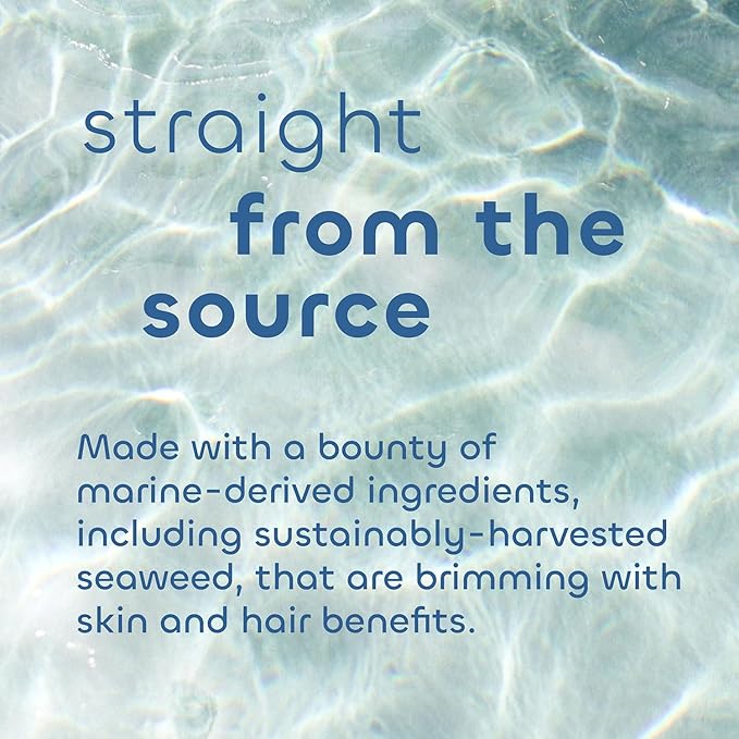 Seaweed Bath Co. Detox Body Scrub, Orange Cedar Scent, 6 Ounce, Sustainably Harvested Seaweed, French Sea Clay, Coffee Extract