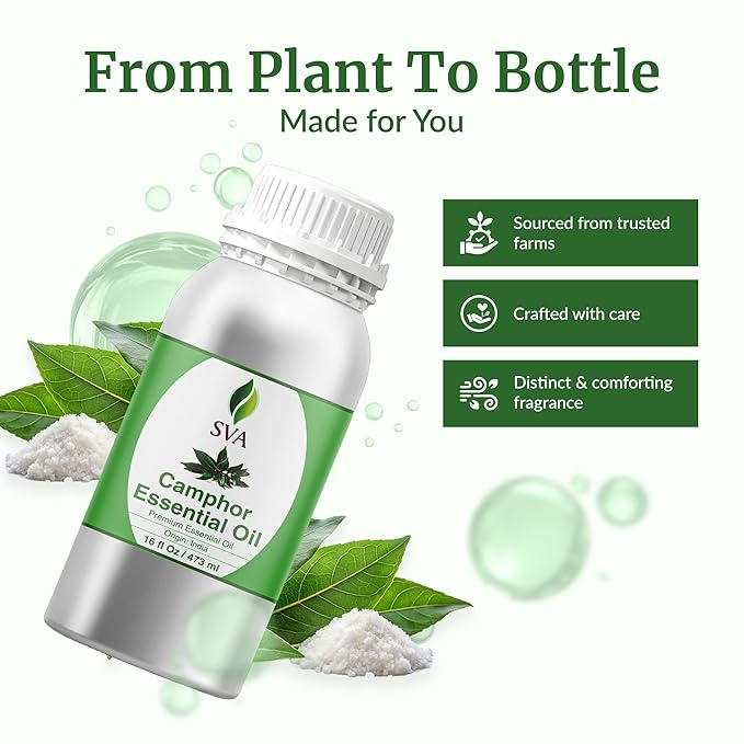 SVA Camphor Essential Oil – 16 Fl Oz – 100% Natural Camphor Oil - for Diffuser, Hair Care, Face, Skin Care, Aromatherapy, Scalp and Body Massage, Soap and Candle Making