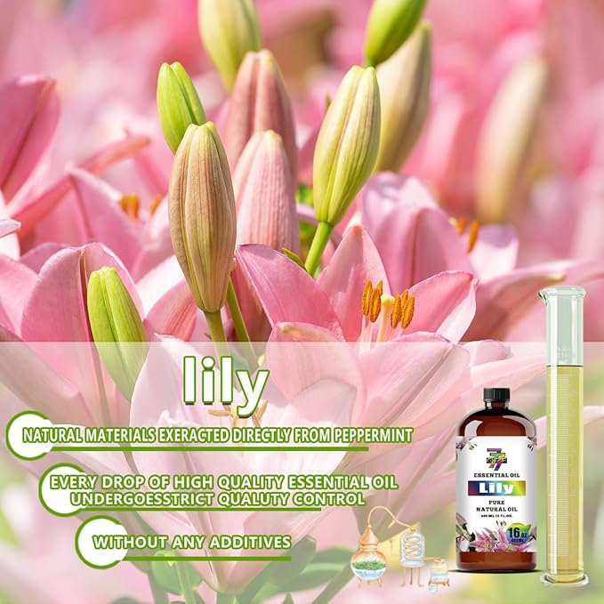 Lily Essential Oil - GV77ZF Lily Oils for Diffusers, Humidifiers, DIY Candles, Soap, Cleaning, Home, Office, Yoga, Massage, Gifts - 16 fl oz (480 ml)