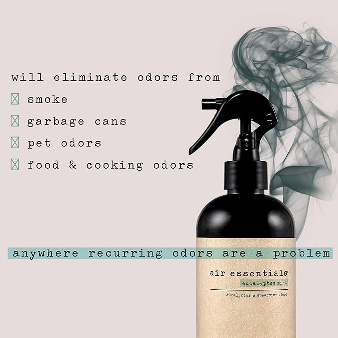 Air Essentials 12 oz Air Freshener & Odor Eliminator Spray - Neutralize Odors from Smoke, Pets, Food & Garbage in Homes, Offices & Cars - Made with Clean Essential Oils (Eucalyptus Mint, 2-Pack)