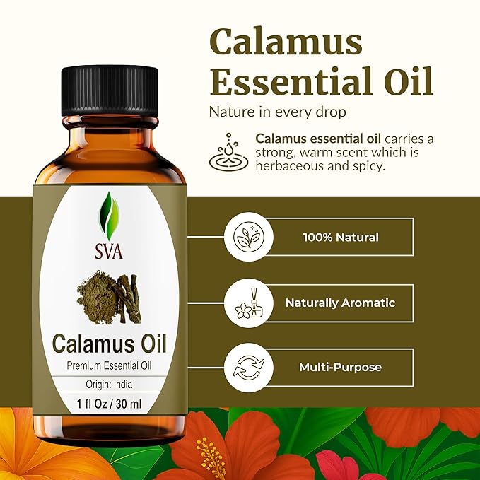 SVA Calamus Essential Oil – 1 Fl Oz – 100% Natural Calamus Oil - for Diffuser, Hair Care, Face, Skin Care, Aromatherapy, Scalp and Body Massage, Soap and Candle Making – with Dropper