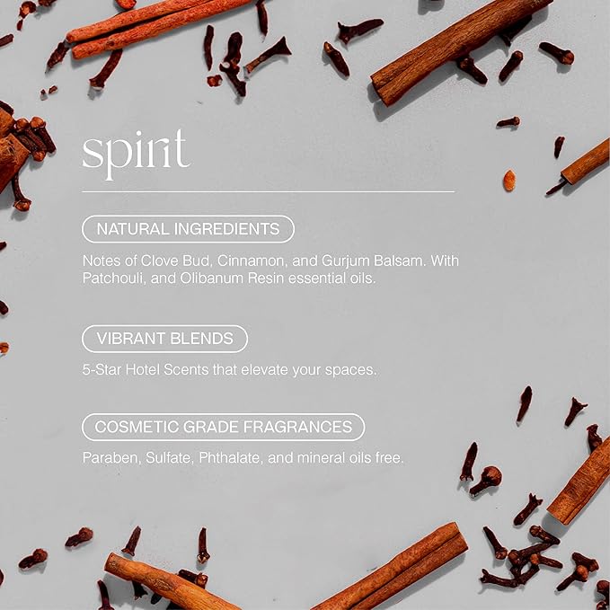 Doctor Aromas Premium Air & Room Spray – Clove & Cinnamon Long-Lasting Fragrance for Home, Bedroom or Bathroom – Powered by Everspray Tech (Pack of 2, Spirit)