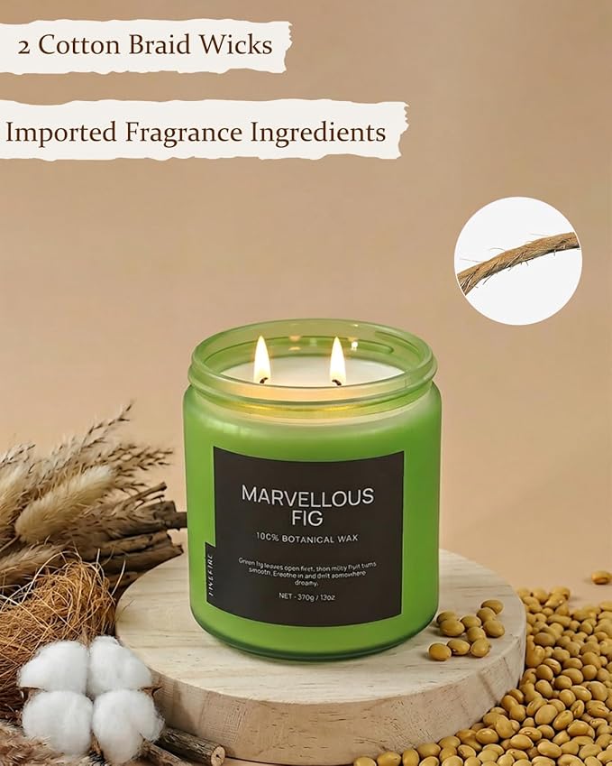 Fig Tree Home Scented Candles, 13oz Organic Soy Wax, 76-Hour Clean Burning, Natural Candles Non Toxic, Earthy & Fruity Scent for Relaxation, Aromatherapy Housewarming Candle for Men Women