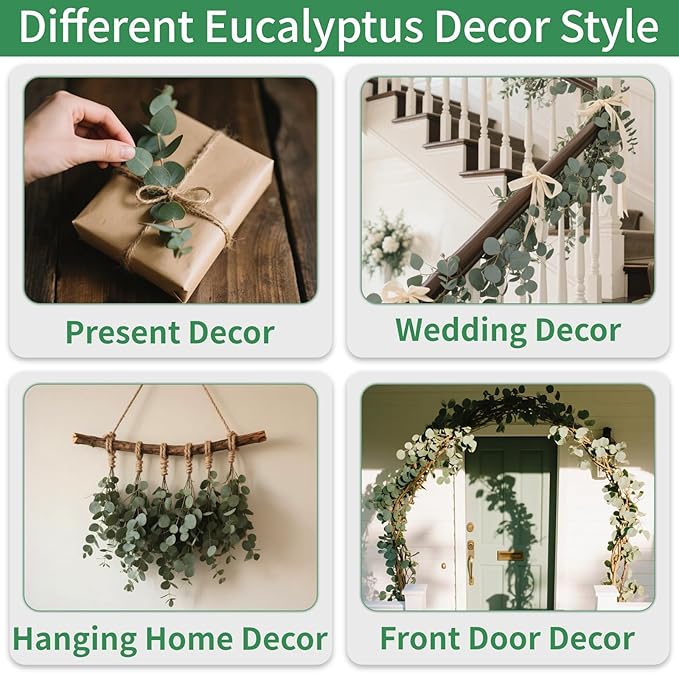 Green Dried Eucalyptus Bundle 12 Pcs Real Stems 17 Inch Fresh Natural Eucalyptus Branches for Home Decor Shower Flower Arrangement Wedding Gift