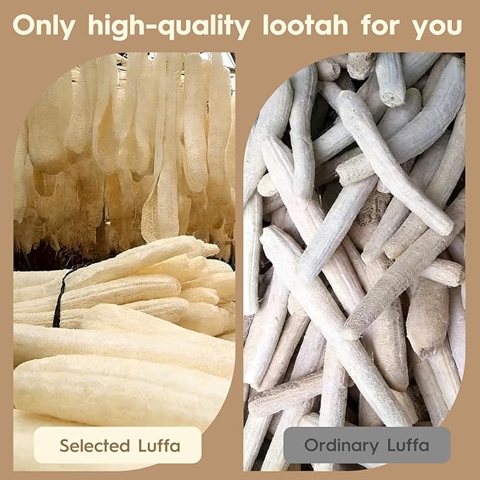 Natural Loofah Exfoliating Body Scrubber Made with Natural Egyptian Shower Loofah Sponge Travel Loofah Sponge for Women & Men with an Adhesive Hook (3 Packs)