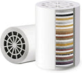 iSpring FSF1 33-Stage Universal Shower Filter Replacement Cartridge, Removes Chlorine, Sediment, Heavy Metal, and Odor, Improves Conditions of Skin, Hair, and Nails, High Output No Clog, White