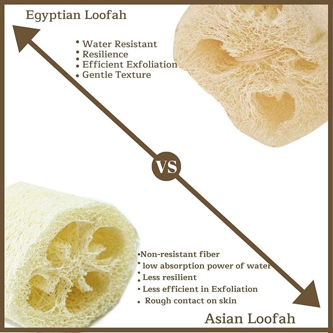 NileCart 22 Inch Egyptian Loofah Natural Luffa Sponges for Shower, Exfoliating Sponge Body Scrubber for Men Women, Natural Body Scrub Loofah, Egyptian Loofah Sponge Bath Scrubbies for Skin Care