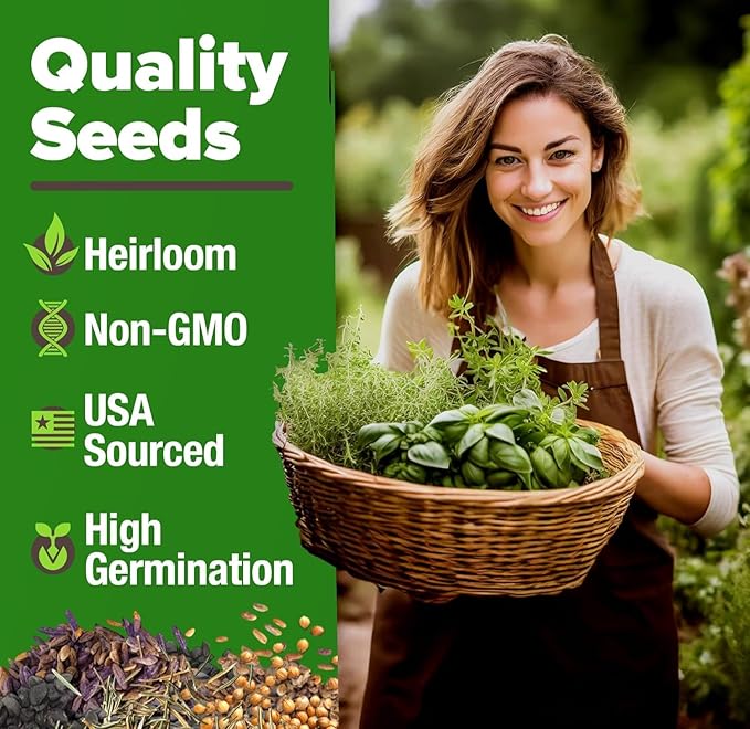 HOME GROWN 30 Herb Seeds for Planting 10,900+ Non-GMO Heirloom Seeds | Extra Large Variety Pack Herb Kit – Indoor Outdoor & Hydroponic | Culinary Seed Set | Grow Your Own Herbs | Gardening Gift