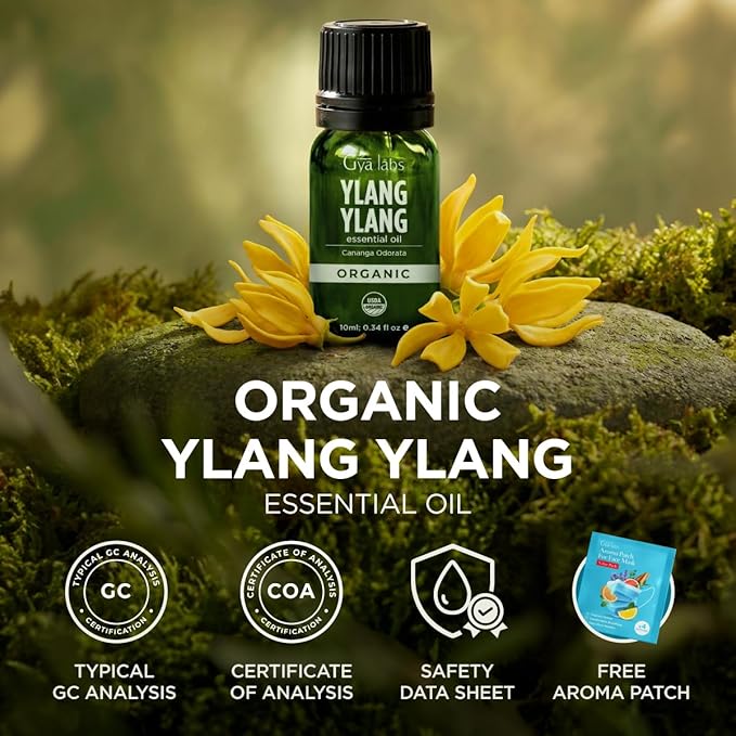 Gya Labs USDA Certified Organic Ylang Ylang Essential Oil - for Skin, Hair, Diffuser, Aromatherapy, DIY Candle Making Scents - 0.34 Fl Oz