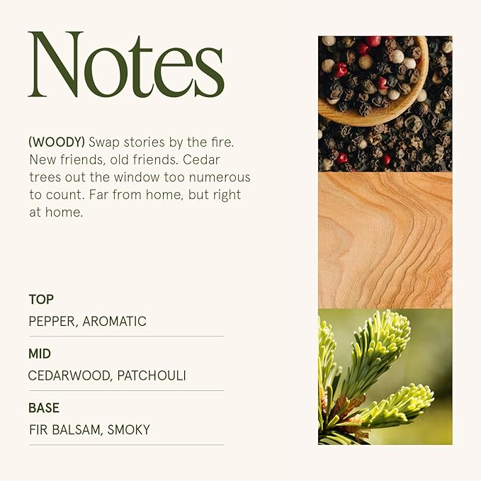 LA JOLIE MUSE Starlit Golden Fir Candle - Cedarwood, Patchouli, Fir Balsam | 10 oz Natural Soy Wax | 55 Hours Clean Burn | Fresh Scent Candles | Gift-Ready for Hosts & Gatherings