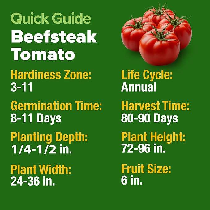 HOME GROWN Beefsteak Tomato Seeds 600+ Heirloom Non-GMO Seeds for Planting, High Germination, Indeterminate Extra Large Meaty Slicing Tomato,Prolific Garden Crop, Sandwich Ready (Solanum lycopersicum)