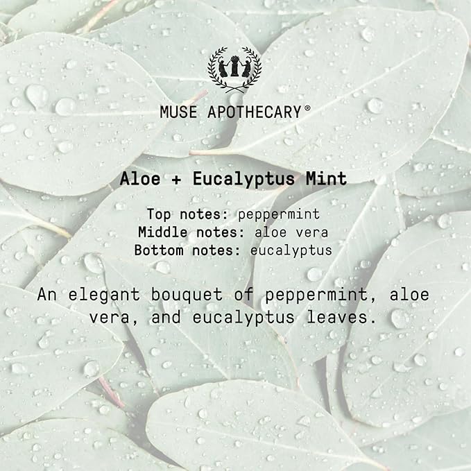 Muse Apothecary Study Ritual - Aromatic and Invigorating Room Mist, 8 oz, Infused with Natural Essential Oils - Aloe + Eucalyptus Mint