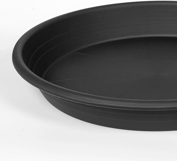 6 Pack Plant Saucer Plant Tray, 4 6 8 10 12 13 15 17 19 inch Plant Trays for Pots, Heavy Duty Plant Trays for Indoors no Holes, Plastic Plant Saucer for Planter, Bird Bath Bowls (6", Black)
