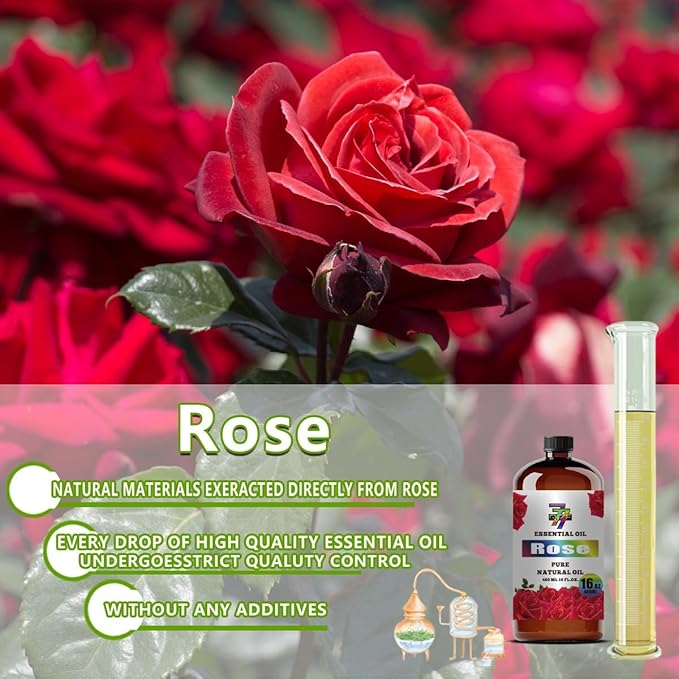 Rose Essential Oil - GV77ZF Rose Oils for Diffusers, Humidifiers, DIY Candles, Soap, Cleaning, Home, Office, Yoga, Massage, Gifts - 16 fl oz (480 ml)