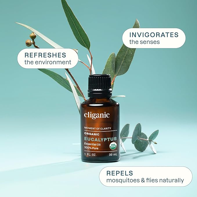Cliganic Organic Eucalyptus Essential Oil, 100% Pure | Natural Aromatherapy Oil for Diffuser Steam Distilled | Non-GMO Verified