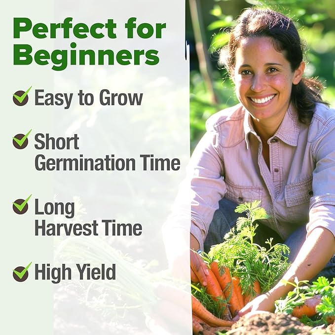 HOME GROWN Tendersweet Carrots Seeds 3000+ Heirloom Non-GMO Seeds for Planting,High Germination,Sweetest Coreless Root Vegetable, Crunchy Summer Garden,Great for Canning (Daucus carota subsp. sativus)