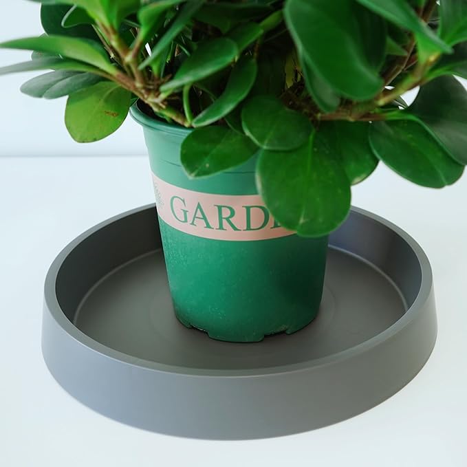 Plant Saucer Tray for Ceramic Plastic Pots, 8 inch Plant Saucers for Indoors, Pot Saucers Trays, Bird Bath Bowls, Flower Planter Water Drip Trays for Pots Base (8", Gray)