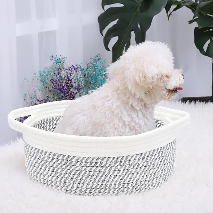 ABenkle Small Basket, 12"x 8" x 5" Cute Small Woven Basket, Rope Room Shelf Storage Basket, Cat Dog Toys Basket Chest Box, Decorative Empty Gift Basket with Handles