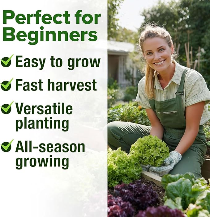 HOME GROWN 20 Variety Lettuce Seeds 21,700+ Bulk Pack Heirloom Non-GMO, High Germination, Romaine,Butterhead, Spinach, Kale, Iceberg, Continuous Harvest,Indoor Outdoor Hydroponic Garden (20 Varieties)
