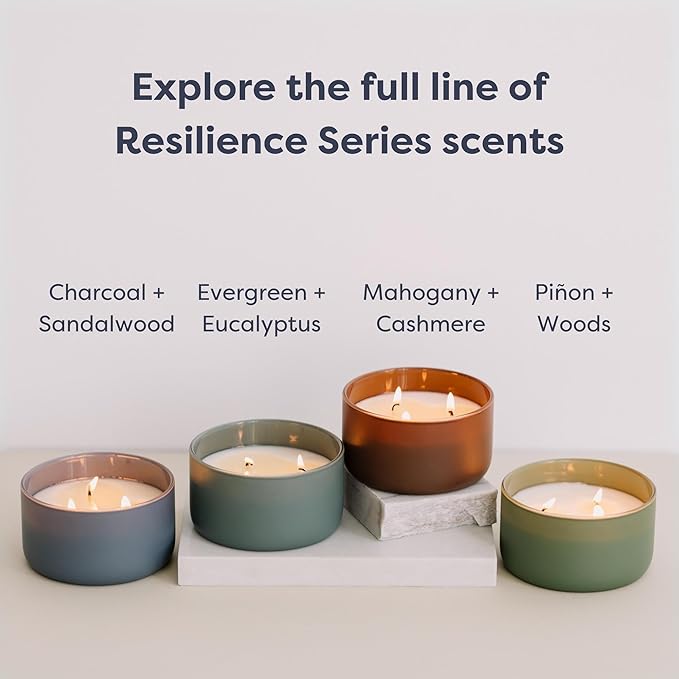 Calyan Wax Co. Evergreen & Eucalyptu 3 Wick Scented Candle - 30 Hour Burn - Luxury 3 Wick Soy Candles - Non Toxic Soy Wax Candles - Long Lasting Large Glass Jar Candle for Home - 8oz