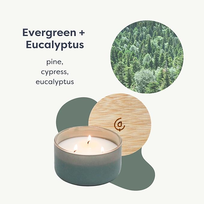 Calyan Wax Co. Evergreen & Eucalyptu 3 Wick Scented Candle - 30 Hour Burn - Luxury 3 Wick Soy Candles - Non Toxic Soy Wax Candles - Long Lasting Large Glass Jar Candle for Home - 8oz