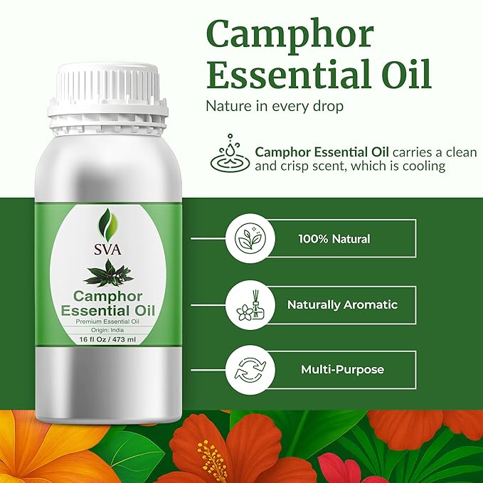 SVA Camphor Essential Oil – 16 Fl Oz – 100% Natural Camphor Oil - for Diffuser, Hair Care, Face, Skin Care, Aromatherapy, Scalp and Body Massage, Soap and Candle Making
