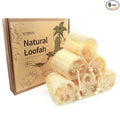 6Pack Luffa Sponges Gentle Exfoliating Body Scrubber for Shower Natural Loofah Sponge Unveil Your Skin's Natural Beauty…