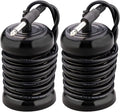 2 Pack Arrays for Ionic Foot Bath Detox Machine Replacement Arrays for Ionic Foot Bath Cleanse Machines System Stainless Steel Round(6.35mm Adapter)