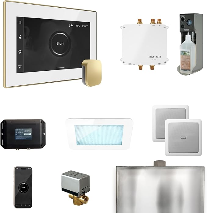 Mr Steam Bliss Steam Shower Ctrl Pkg w/iSteamX Control and Steamhead in White Satin Brass