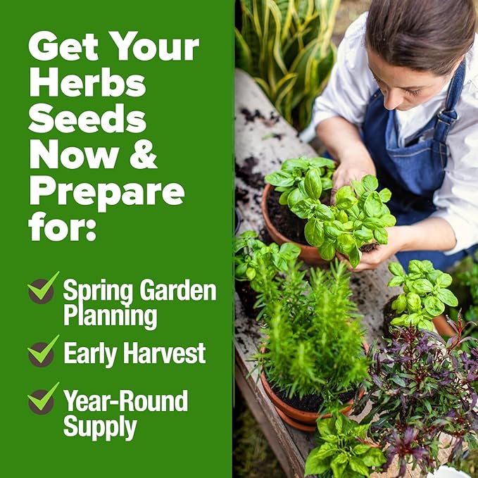 HOME GROWN 30 Herb Seeds for Planting 10,900+ Non-GMO Heirloom Seeds | Extra Large Variety Pack Herb Kit – Indoor Outdoor & Hydroponic | Culinary Seed Set | Grow Your Own Herbs | Gardening Gift