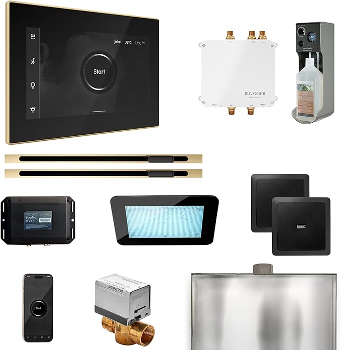 Mr Steam Bliss Max Steam Shower Pkg w/iSteamX Control and Linear Steamhead in Black Polished Brass