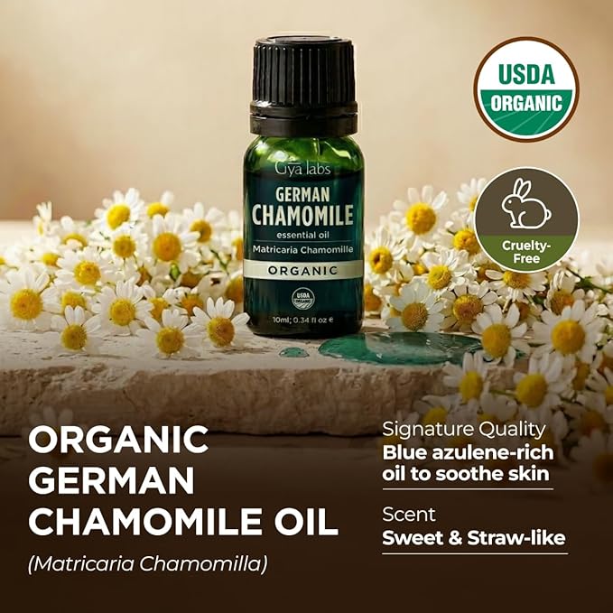 Gya Labs Organic German Chamomile Essential Oil - 0.34 Fl Oz - for Skin, Hair, Diffuser, Aromatherapy, DIY Candle Making Scents