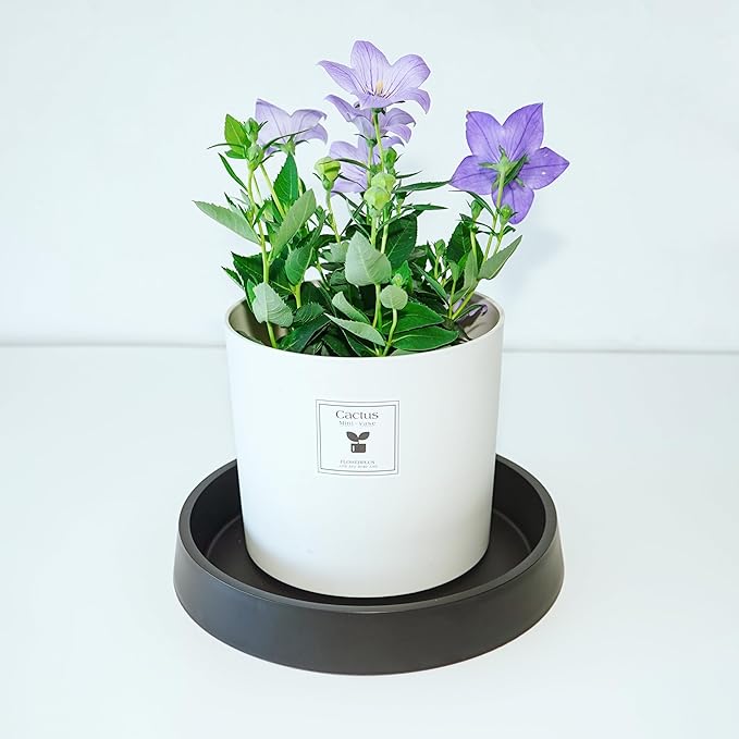 Plant Saucer Tray for Ceramic Plastic Pots, 10 inch Plant Saucers for Indoors, Pot Saucers Trays, Bird Bath Bowls, Flower Planter Water Drip Trays for Pots Base (10", Black)