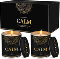 WarmEmbrace Scented Candles, 9 Oz Candle Sets for Home, Office, Meditation, Yoga, Candle Set for Women & Men, Mother's Day, Birthday, Christmas, Anniversary Present (2 Pack, Lavender & Vanilla)